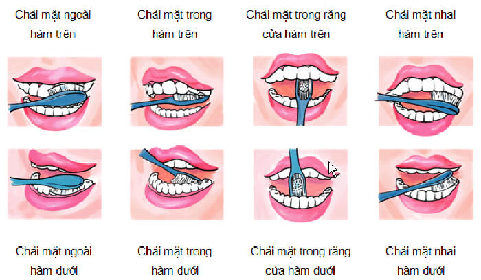 đánh răng đúng cách 