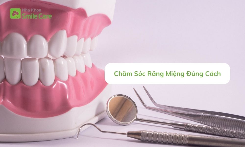 Chăm Sóc Răng Miệng